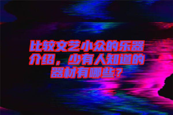 比較文藝小眾的樂器介紹，少有人知道的器材有哪些？