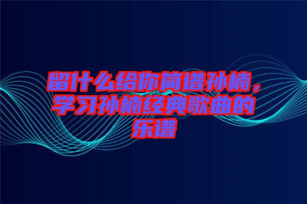 留什么給你簡(jiǎn)譜孫楠，學(xué)習(xí)孫楠經(jīng)典歌曲的樂(lè)譜
