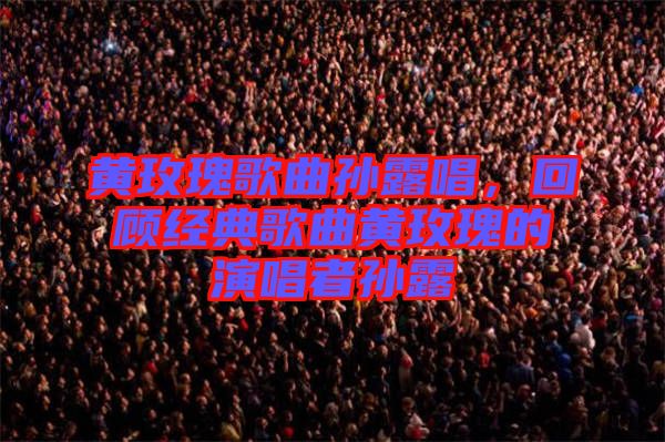 黃玫瑰歌曲孫露唱，回顧經典歌曲黃玫瑰的演唱者孫露