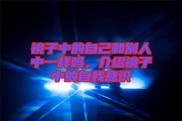 鏡子中的自己和別人中一樣嗎，介紹鏡子中的自我意識