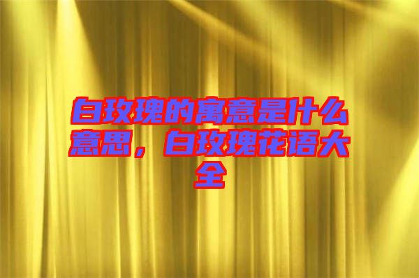 白玫瑰的寓意是什么意思，白玫瑰花語大全