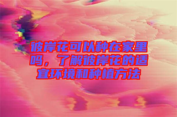 彼岸花可以種在家里嗎，了解彼岸花的適宜環境和種植方法