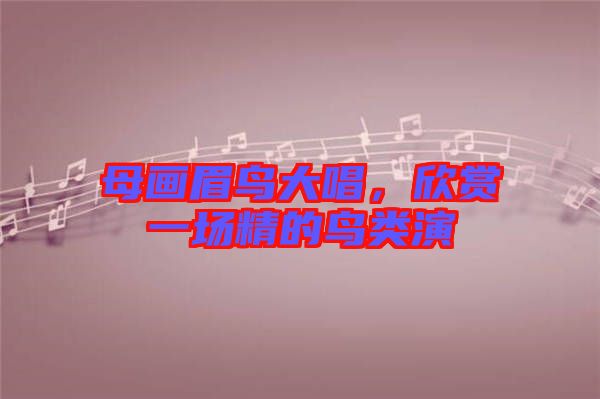 母畫(huà)眉鳥(niǎo)大唱，欣賞一場(chǎng)精的鳥(niǎo)類演
