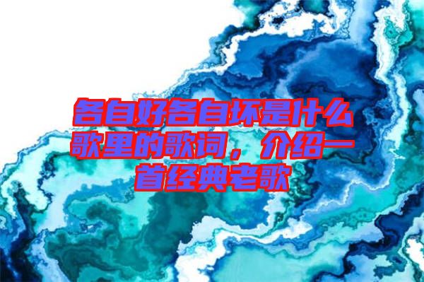 各自好各自壞是什么歌里的歌詞，介紹一首經典老歌