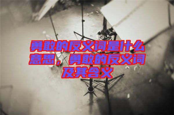 勇敢的反義詞是什么意思，勇敢的反義詞及其含義