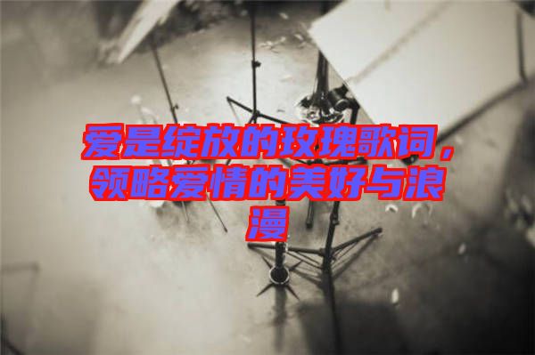 愛是綻放的玫瑰歌詞，領(lǐng)略愛情的美好與浪漫