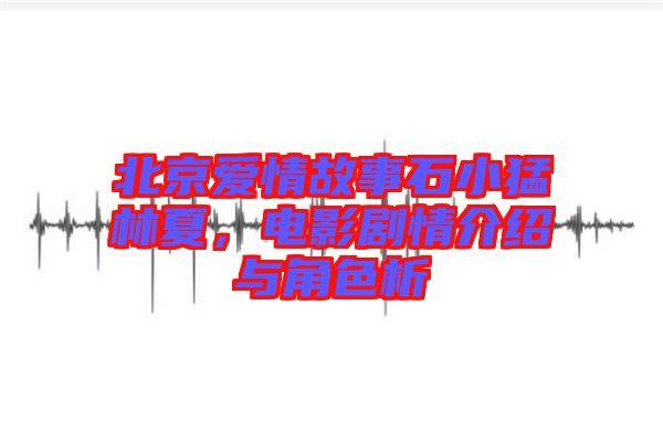北京愛情故事石小猛林夏，電影劇情介紹與角色析