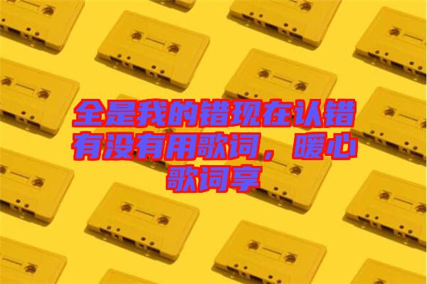 全是我的錯現(xiàn)在認(rèn)錯有沒有用歌詞，暖心歌詞享