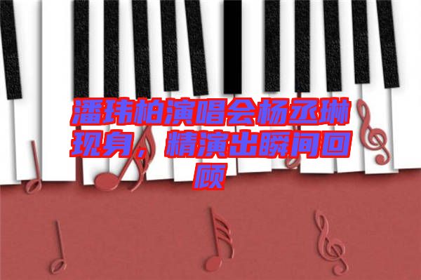 潘瑋柏演唱會楊丞琳現身，精演出瞬間回顧
