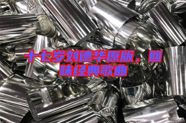 十七歲劉德華原版，回味經(jīng)典歌曲