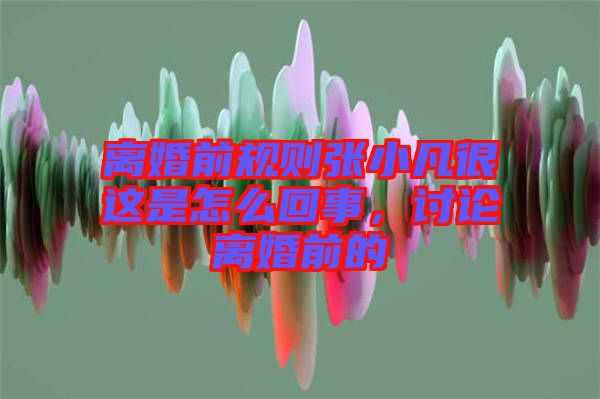 離婚前規(guī)則張小凡很這是怎么回事，討論離婚前的