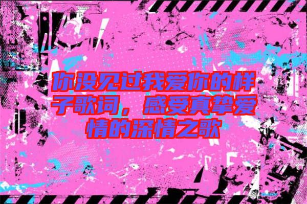 你沒見過我愛你的樣子歌詞，感受真摯愛情的深情之歌