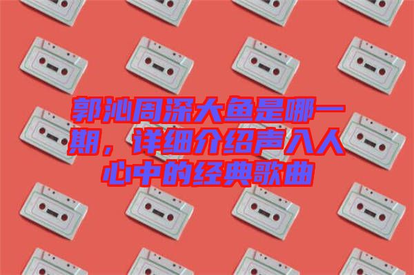 郭沁周深大魚是哪一期，詳細介紹聲入人心中的經典歌曲