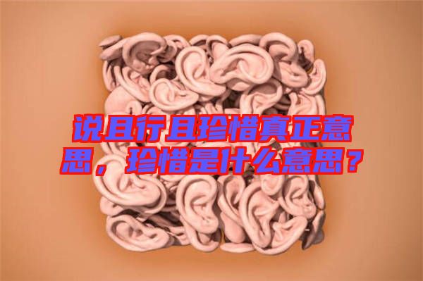 說(shuō)且行且珍惜真正意思，珍惜是什么意思？
