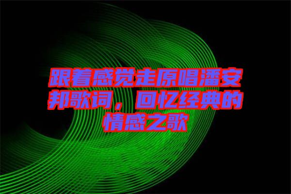 跟著感覺走原唱潘安邦歌詞，回憶經典的情感之歌