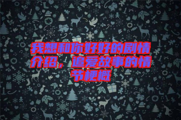 我想和你好好的劇情介紹，追愛故事的情節梗概