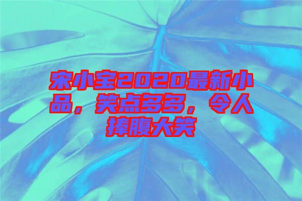 宋小寶2020最新小品，笑點多多，令人捧腹大笑