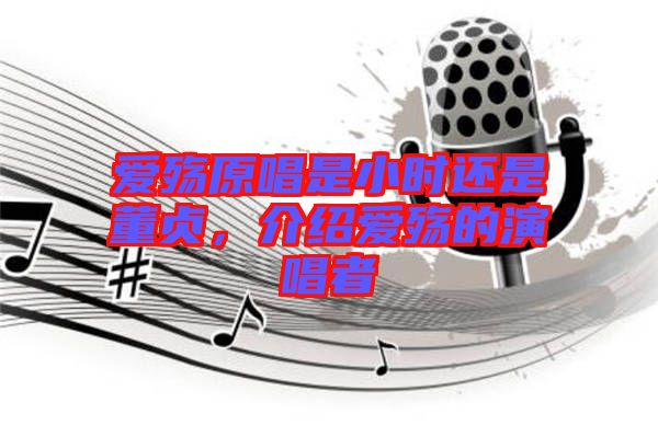 愛殤原唱是小時還是董貞，介紹愛殤的演唱者