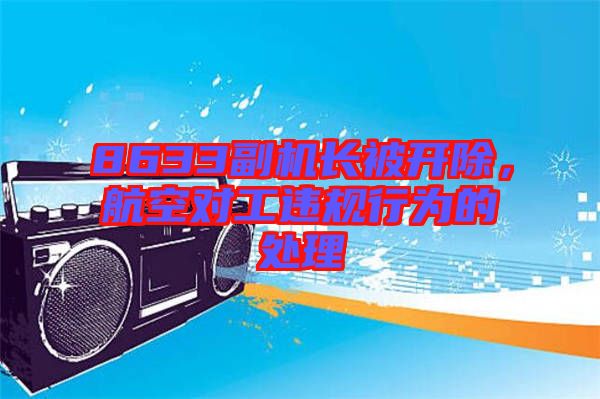 8633副機長被開除，航空對工違規行為的處理