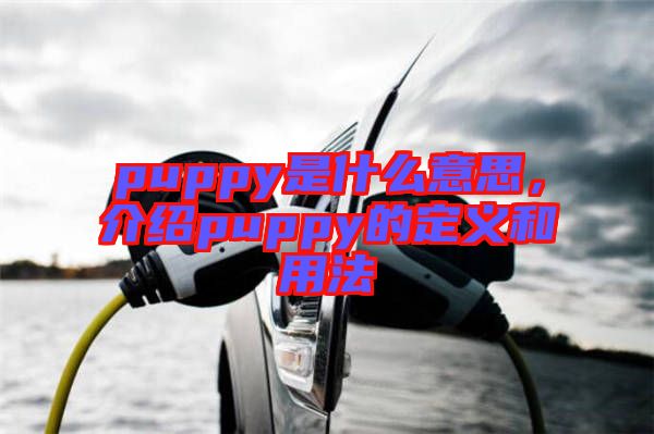 puppy是什么意思，介紹puppy的定義和用法