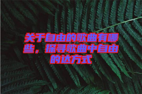 關(guān)于自由的歌曲有哪些，探尋歌曲中自由的達(dá)方式