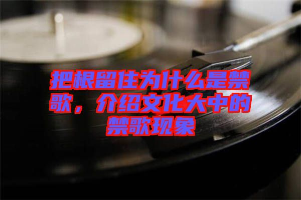 把根留住為什么是禁歌，介紹文化大中的禁歌現象