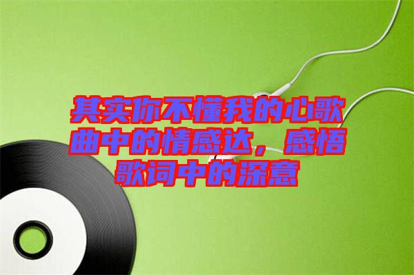 其實你不懂我的心歌曲中的情感達，感悟歌詞中的深意