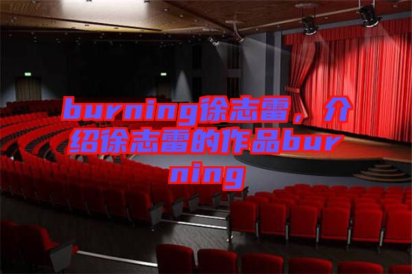 burning徐志雷，介紹徐志雷的作品burning