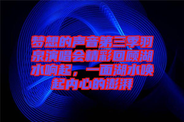 夢想的聲音第三季羽泉演唱會精彩回顧湖水響起，一面湖水喚起內心的澎湃