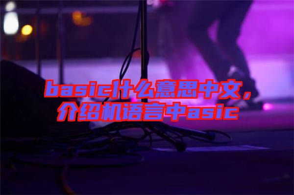 basic什么意思中文，介紹機語言中asic