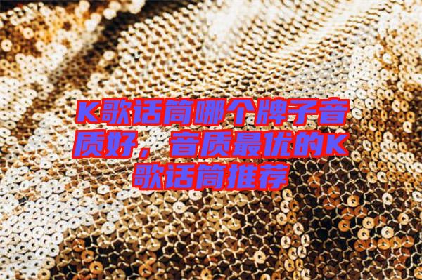 K歌話筒哪個牌子音質好，音質最優的K歌話筒推薦