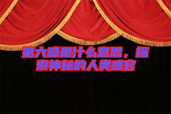 第六感是什么意思，探索神秘的人類感官