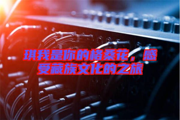 琪我是你的格桑花，感受藏族文化的之旅