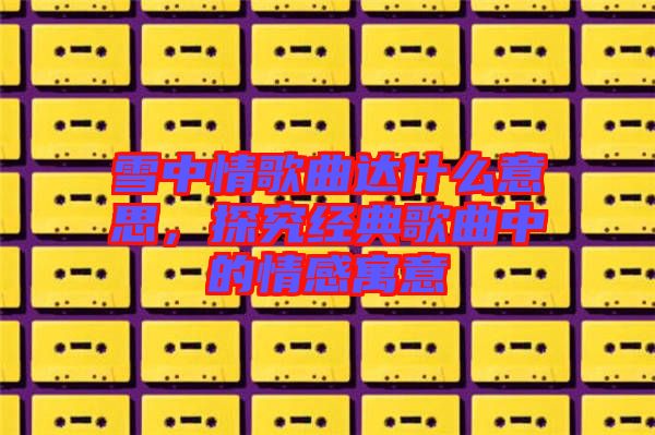 雪中情歌曲達什么意思，探究經典歌曲中的情感寓意