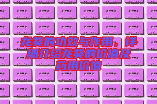 龍葵的功效與作用，詳細介紹龍葵的價值及藥用價值