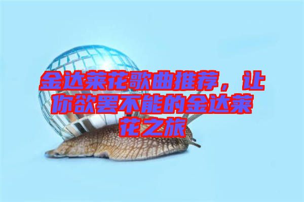 金達(dá)萊花歌曲推薦，讓你欲罷不能的金達(dá)萊花之旅