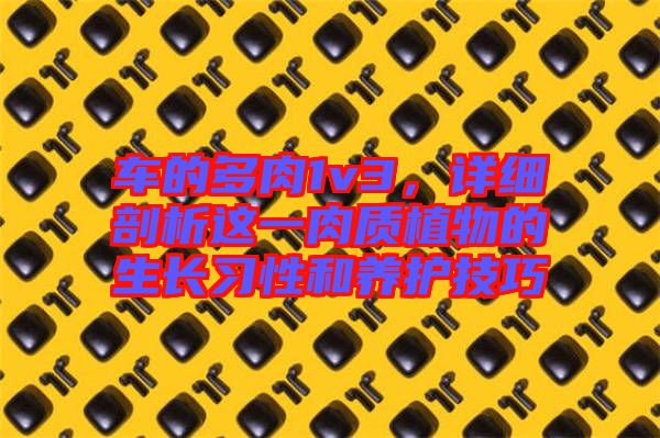 車的多肉1v3，詳細剖析這一肉質(zhì)植物的生長習性和養(yǎng)護技巧