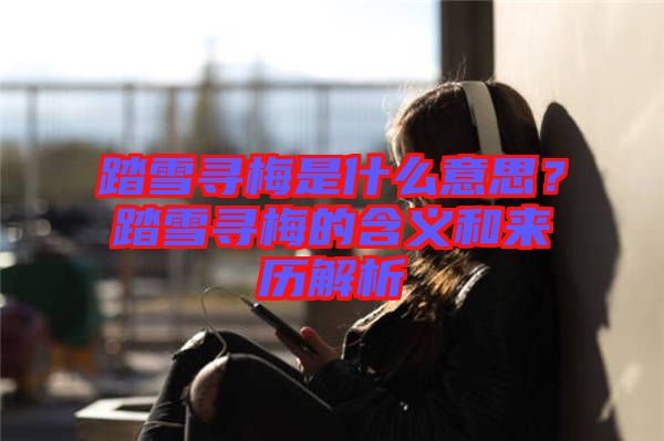 踏雪尋梅是什么意思？踏雪尋梅的含義和來歷解析