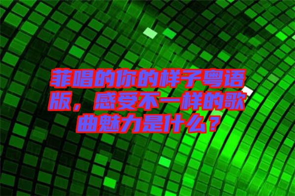 菲唱的你的樣子粵語(yǔ)版，感受不一樣的歌曲魅力是什么？