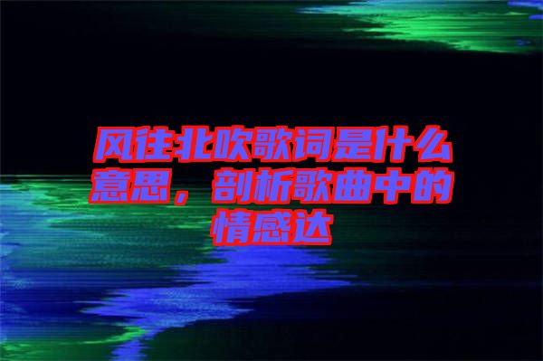 風往北吹歌詞是什么意思，剖析歌曲中的情感達