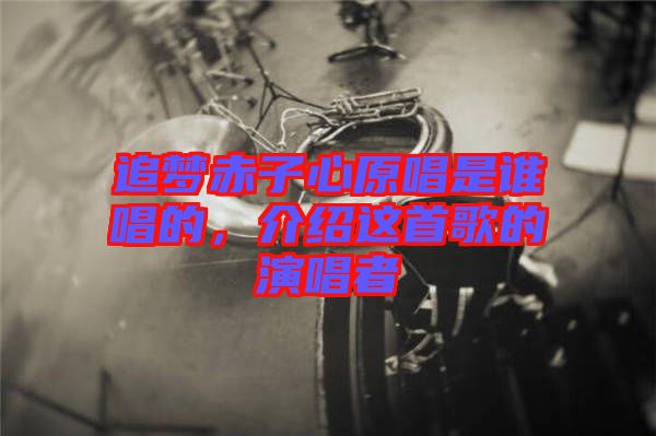 追夢赤子心原唱是誰唱的，介紹這首歌的演唱者