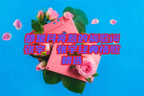 都是月亮惹的禍歌詞張宇，張宇經典情歌精選